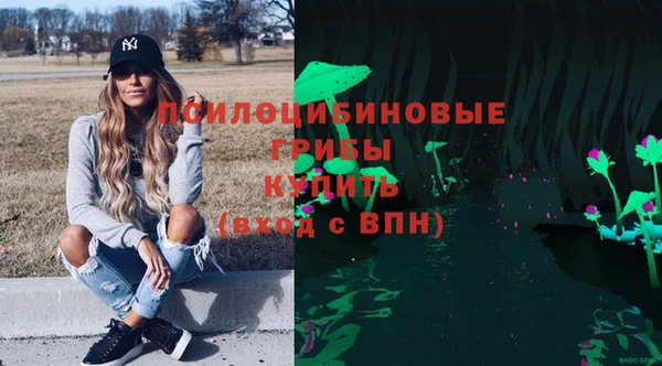 ГАЛЛЮЦИНОГЕННЫЕ ГРИБЫ Алзамай
