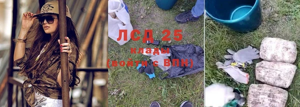 ГАЛЛЮЦИНОГЕННЫЕ ГРИБЫ Алзамай