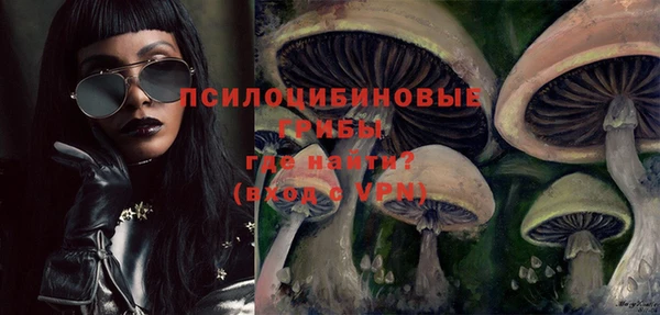 ГАЛЛЮЦИНОГЕННЫЕ ГРИБЫ Алзамай