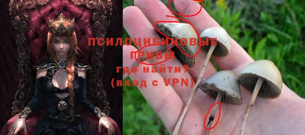 ГАЛЛЮЦИНОГЕННЫЕ ГРИБЫ Алзамай